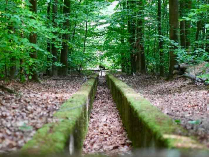 Drüber springen oder doch lieber die Brücke nehmen? Kleine Schlüsselstelle am Ende der Teufelsleiter.