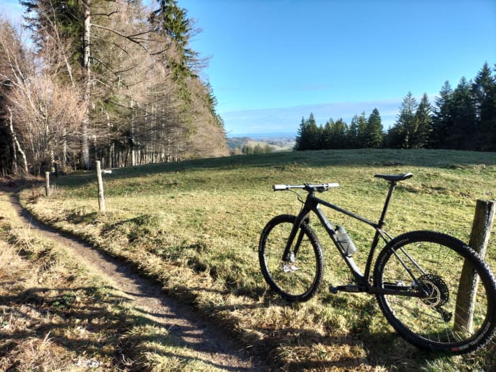 The rigid fork bike from VPace is also fun to ride off-road. In the long run, however, the firm character of the rigid fork MTB is quite strenuous.