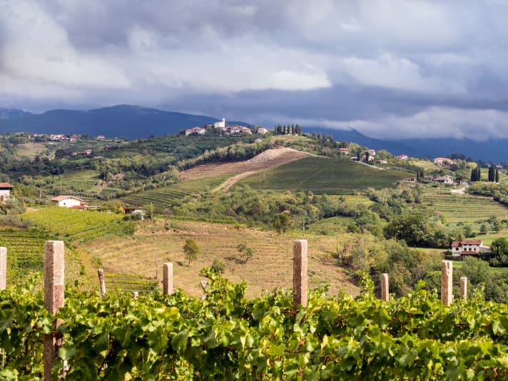 The Goriska Brda wine region is strongly reminiscent of Tuscany.