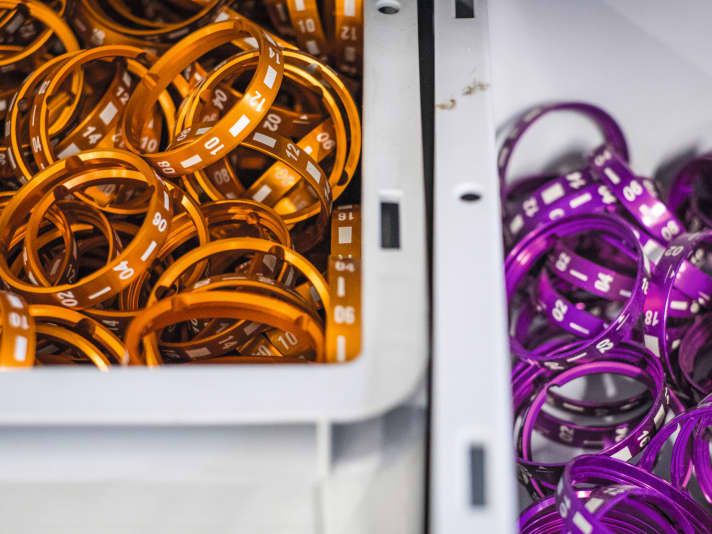 Coloured: The more expensive P-series gearboxes have milled aluminium housings and details. The gear indicator also shines in special colours.