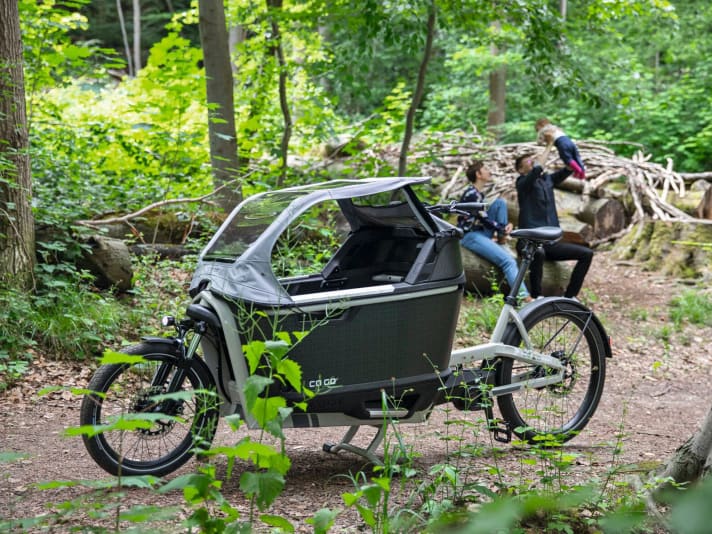 Wehrmutstropfen: Auch wenn ein solcher Kindertransporter ein Auto im Familienalltag ersetzen kann - ein E-Lastenrad kann auch mal fast so viel wie ein Kleinstwagen kosten. Trotzdem sind Privatpersonen von der BAFA-Förderung leider ausgeschlossen.