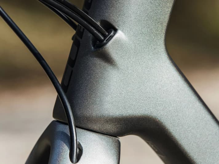 Wille zur Form: Steife Strukturen an den Rohrübergängen und eine organische Formensprache zeichnen den C:62-Rahmen