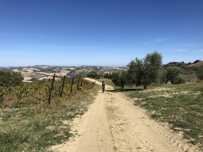 The hills of the Marche region quickly add up to quite a few metres in altitude. An e-bike is therefore a good choice.
