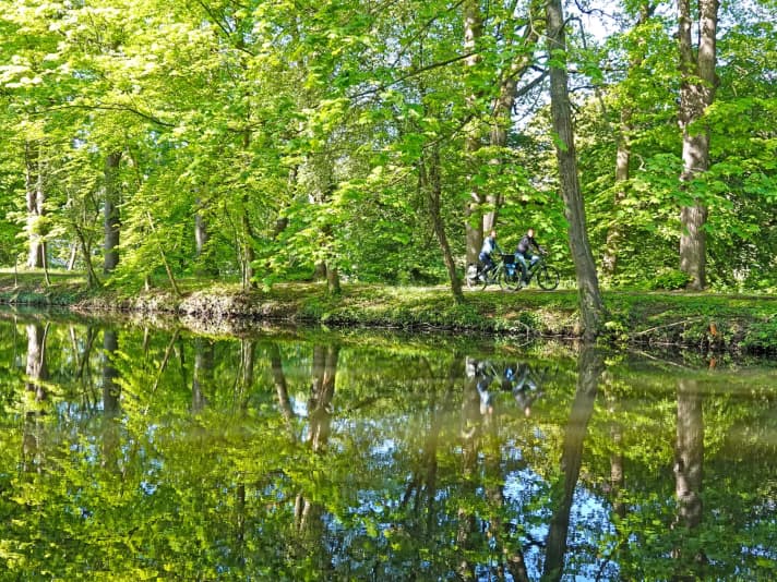 Meppen paddock lock