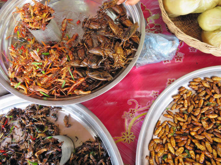 Rich in protein - insect salads.