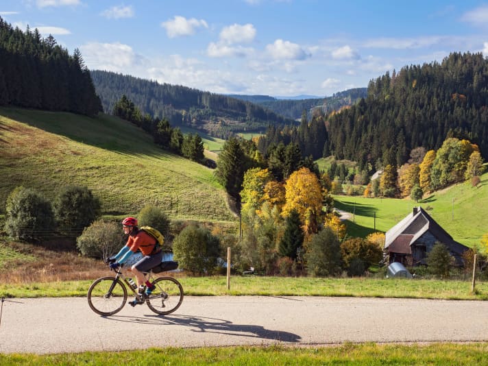 Small tarmac roads take you over the hills of the Upper Black Forest