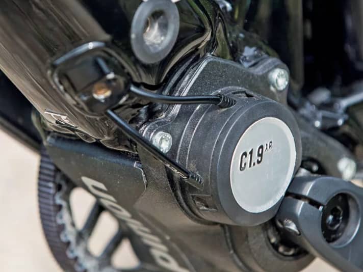 Elaborate and well protected: The gear cables of the Pinion gearbox are routed in the frame.