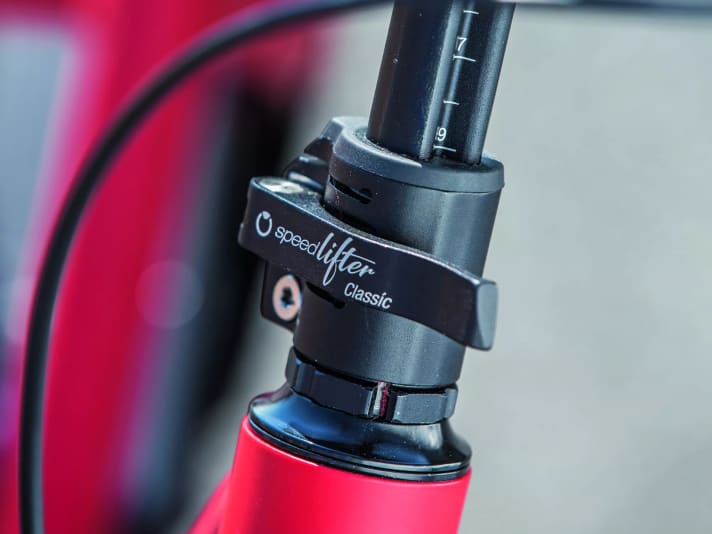 The stem can be quickly adjusted to different rider sizes using the Speedlifter.