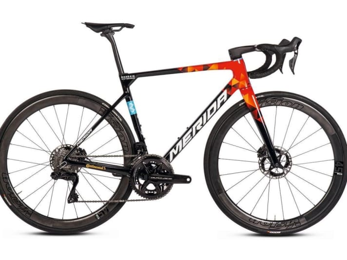 Das Merida Scultura Team