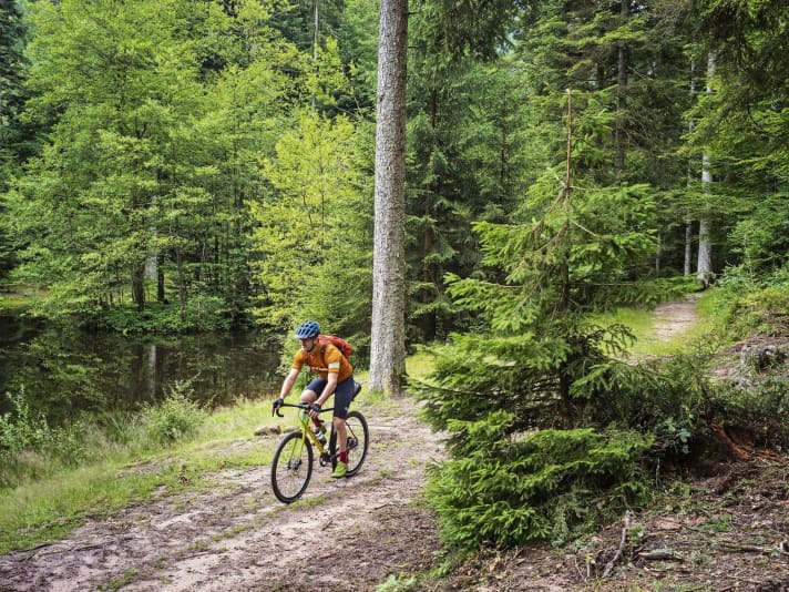 Voyage à vélo : En gravel bike, les chemins de l'étang de Coucou sont faciles à parcourir.