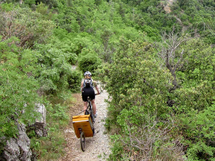A compact, single-track trailer can also be used on narrow paths.