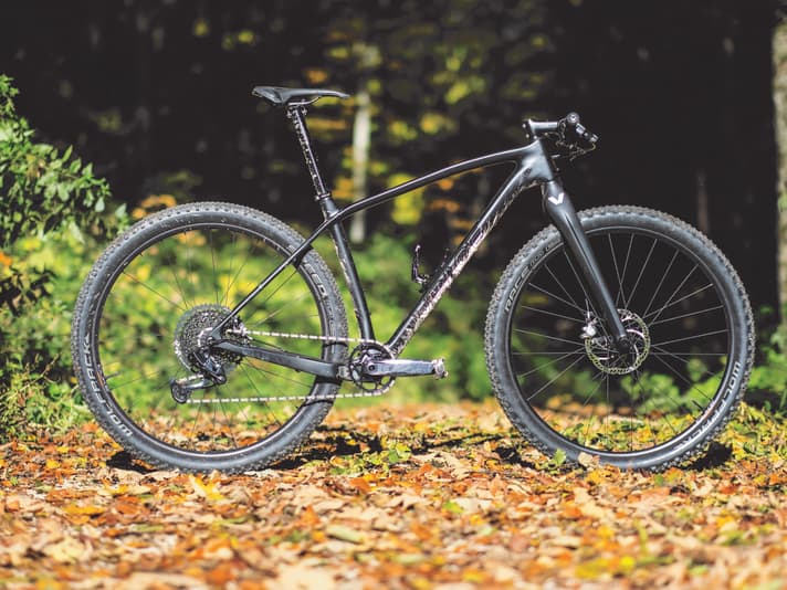 The Vpace C3M Custom: price 3199 euros, weight of complete bike 8.35 kilos