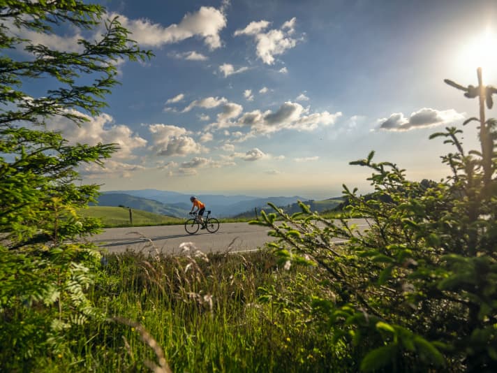 Von Freiburgs Hausberg reicht der Blick weit nach Westen, über Münstertal und Rheinebene