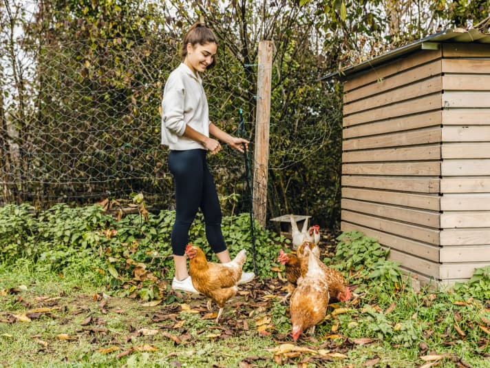 The chickens in the garden provide the eggs for the cakes that Ricarda Bauernfeind loves to bake