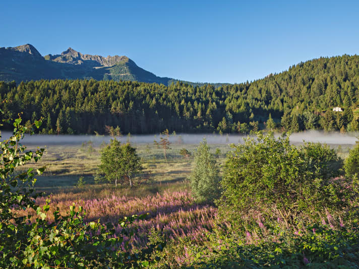 Das Hochmoor Pian di Gembro bietet eine atemberaubende Kulisse