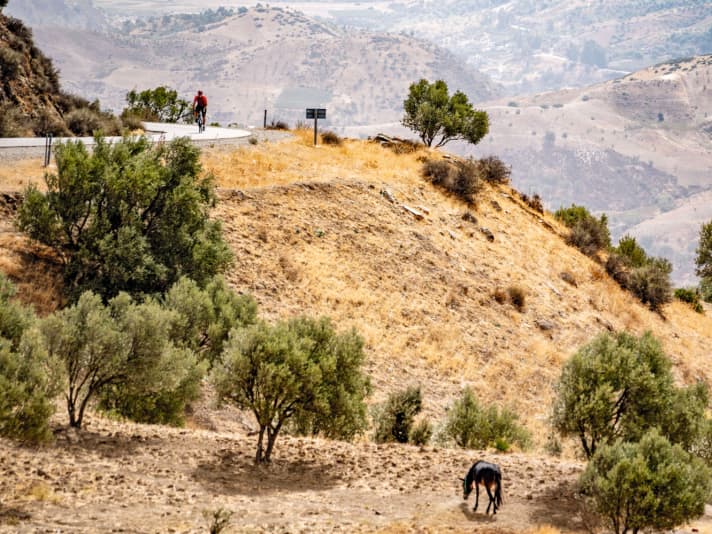 L'étape reine (tour 4), avec plus de 2000 mètres de dénivelé, grimpe au sud de Chefchaouen à travers les contreforts du Rif.
