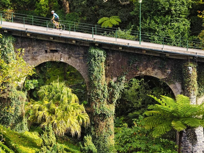 Üppig: Für Pflanzen aller Art ist Madeira das reinste Paradies. Hier gedeiht fast alles