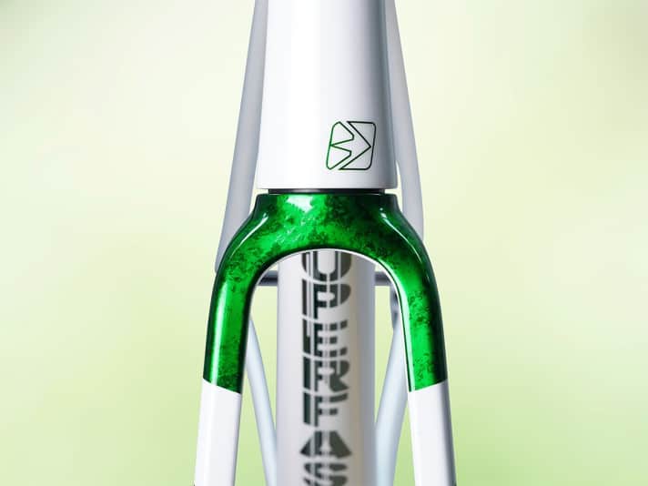 La peinture élaborée de l'édition Deep Green fait briller le vélo Ahead the Superfast d'un vert captivant.