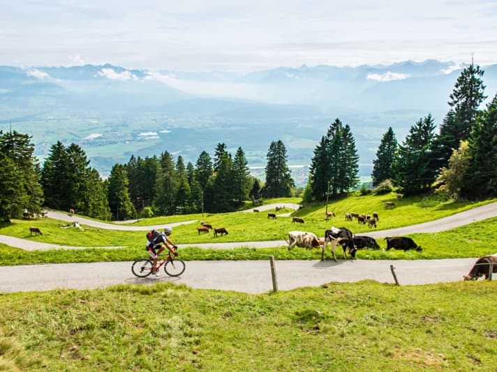   Motorways and industrial estates remain in the Rhine Valley.