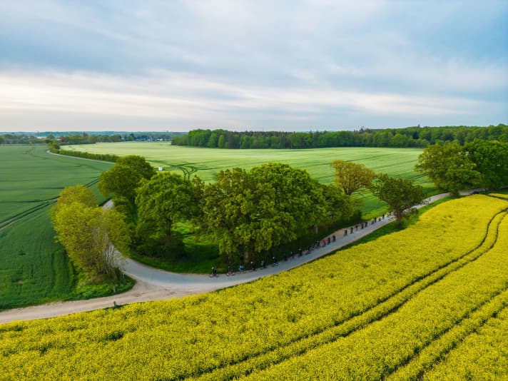 Kiel Dawn Patrol: Auf schmalen Sträßchen geht es an Wiesen und Rapsfeldern vorbei