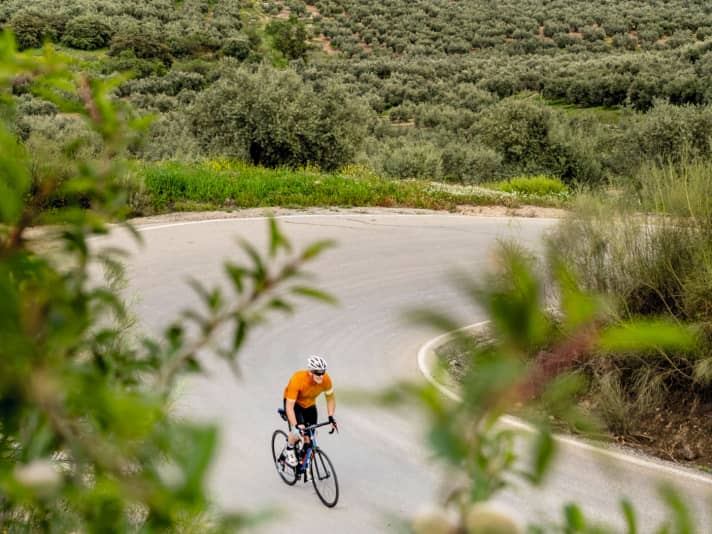 The Sierras Subbéticas Nature Park is surrounded by a sea of hills crowned with olives (tours 3 + 4)