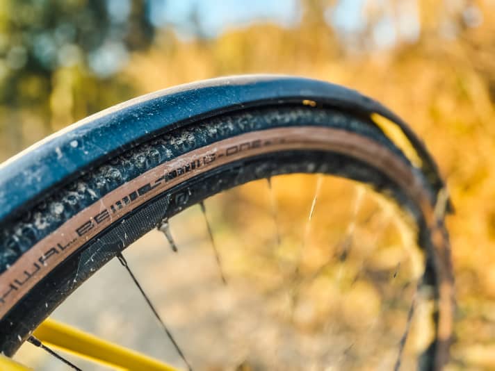 The fixed mudguards characterise the EQ version of the Scott bike.