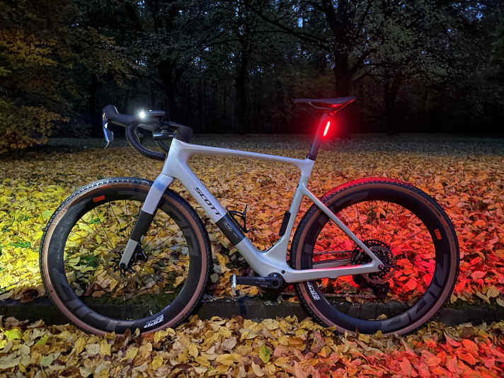 Pendant la nuit, l'arbre a perdu presque tout son feuillage, comme s'il l'avait fait spécialement pour cette photo.