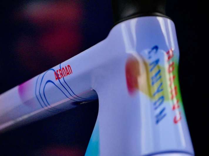 Besondere Lackierung am Canyon von Liane Lippert