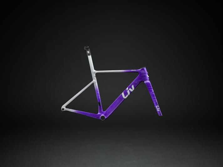 Liv EnviLiv Advanced SL frameset, not officially available in Germany