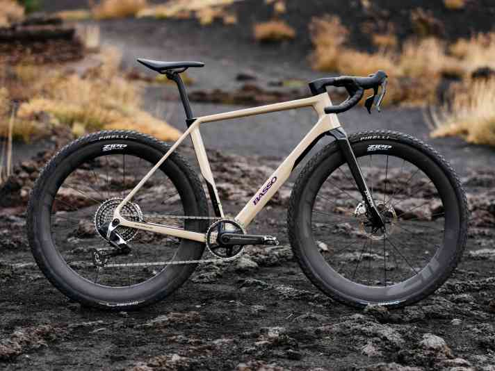 Rennfeile oder Tourenbike? Das Palta der dritten Generation will beide Anforderungen erfüllen.