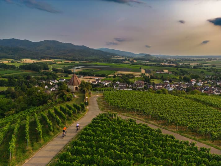 De courtes montées mènent à travers les vignobles du Markgräflerland. Ceux qui veulent grimper plus longtemps.
trouvera son bonheur à l'est, dans la Forêt-Noire.