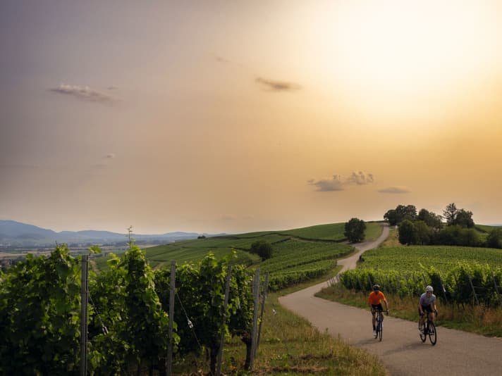 Schmale, kurvige Straßen, kurze, knackige Anstiege: Die von Reben bestandenen Hügel des Markgräflerlandes sind ein herausforderndes Rennradrevier