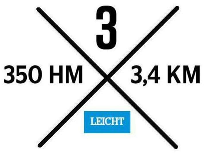 Tuscany trails no. 3: The Bonatto trails are easy to ride.