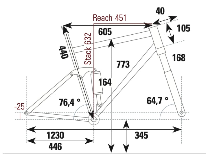 Propain Tyee CF 29 - Geometry data