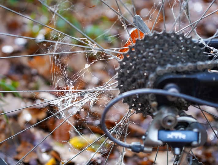 These wheels are a spider's paradise. Long periods of standing do not usually damage the function. Clean thoroughly once and everything will look pristine again.