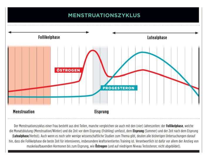 tour/screenshot-2023-09-19-130633_cba6134996889a49268f0becd1a059b7