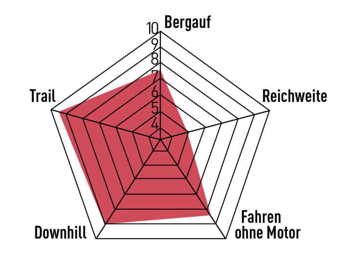 EMTB Bewertung des Specialized Levo SL: Klare Kante, den ausgezeichneten Abfahrtseigenschaften ordnet das Levo SL einiges unter. Reichweite und Uphill sind nicht die Stärken des Bikes.