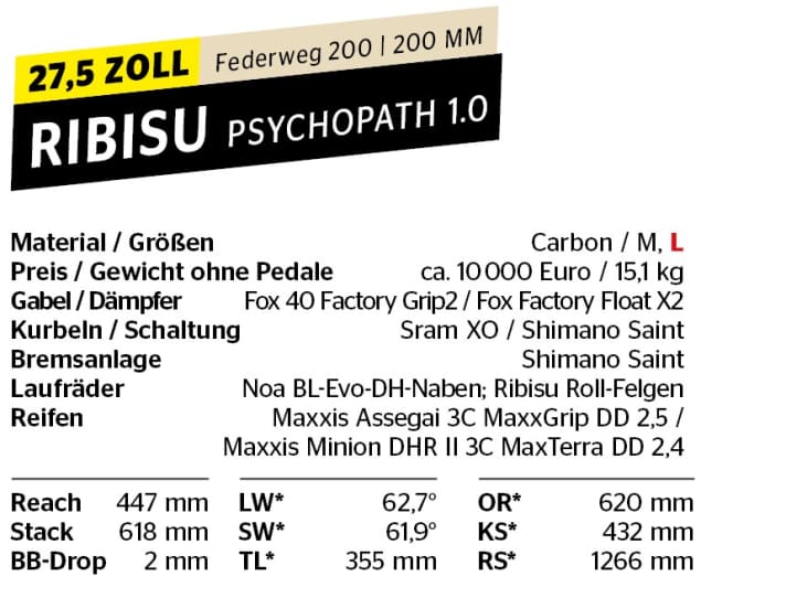 Ausstattung Ribisu Psycopath