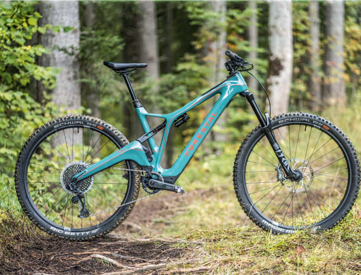 So sieht das Ur-Siryon von Forestal aus.