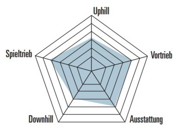 Das günstige Carbon-Hardtail von Cube hat seine Stärken eher im reaktiven Handling als auf anspruchsvollen Abfahrten.