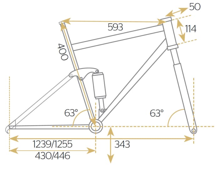   Canyon Sender CF 7.0