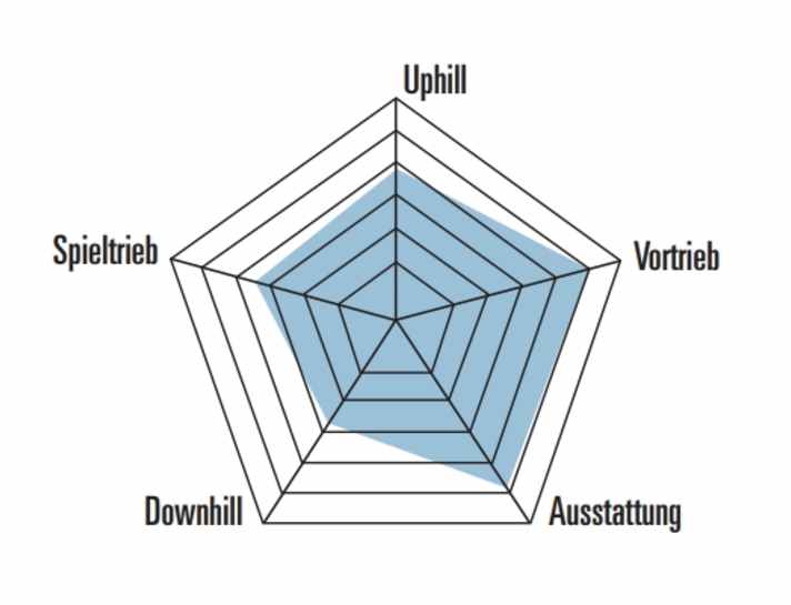 Die Fahreigenschaften des Bulls Wild Edge Team im Spinnendiagramm.