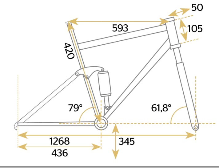 Specialized Demo Race - Geometriedaten