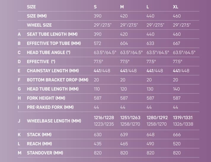 Geometrie & Maße: Das Focus Sam² gibt´s in den vier Größen S bis XL.