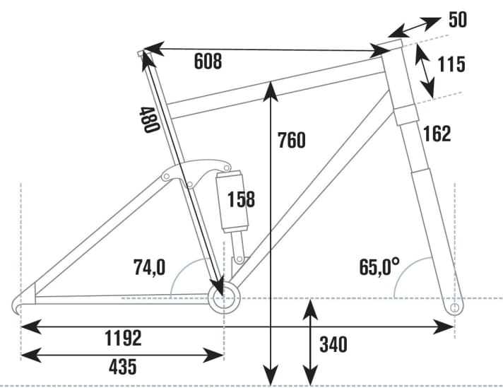  Die Geometrie des Rose Uncle Jimbo 2 im Überblick