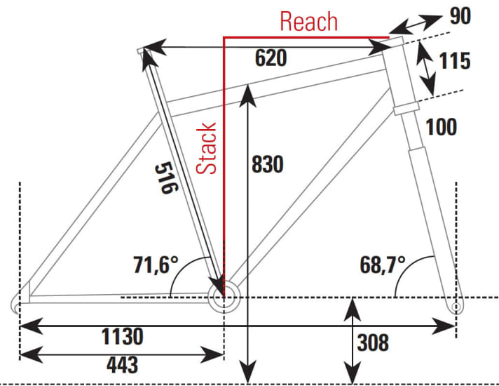   Geometrieskizze des Bulls Copperhead Max RS