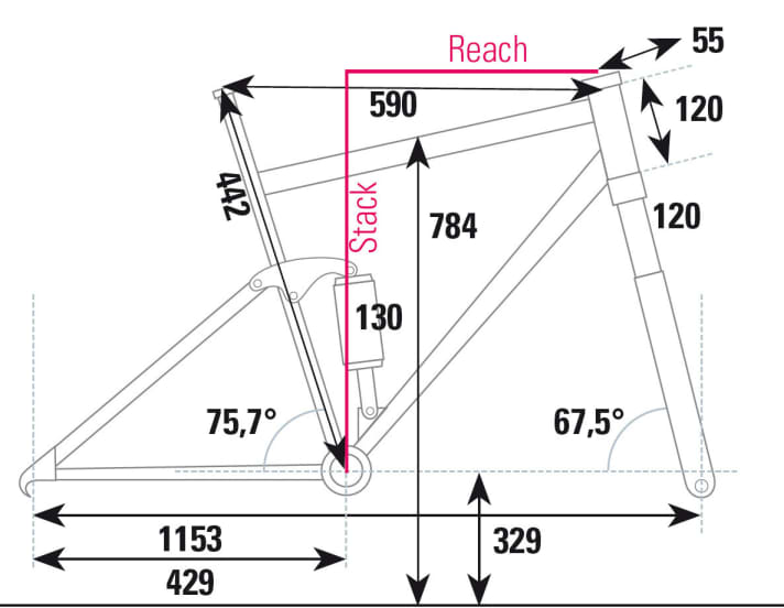 Focus Spine Evo Donna