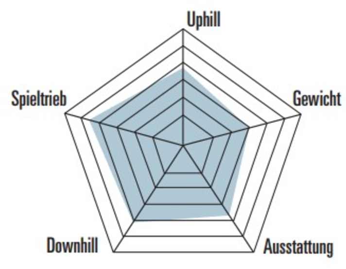 Classification of the strengths and weaknesses of the Specialised Status 170 2.