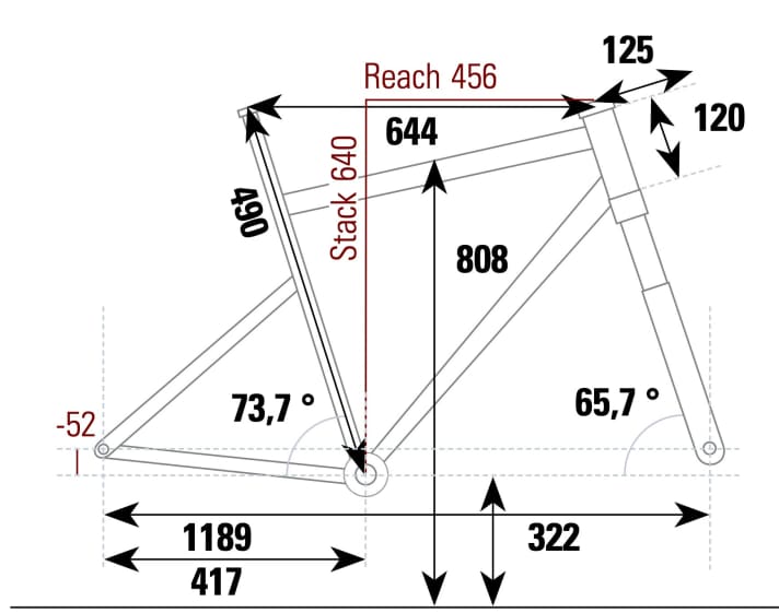 NS Bikes Eccentric Lite 1 - Geometriedaten