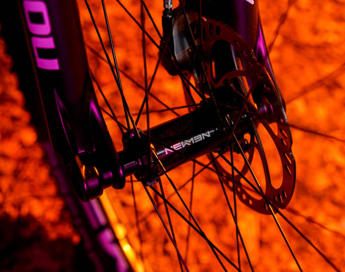 Precisely machined, well sealed: The Newmen hubs are designed for tough use and have classic flanges.